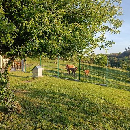 Casa Isaura De Pena Camino Primitivo Bed & Breakfast Pacio Dış mekan fotoğraf