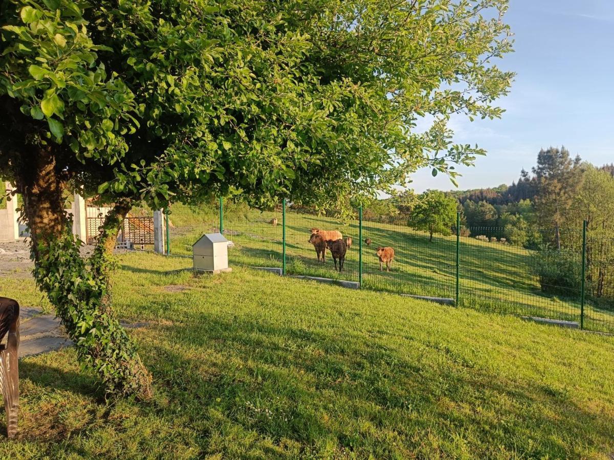 Casa Isaura De Pena Camino Primitivo Bed & Breakfast Pacio Dış mekan fotoğraf